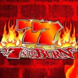 7's to burn logo