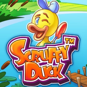 Scruffy Duck