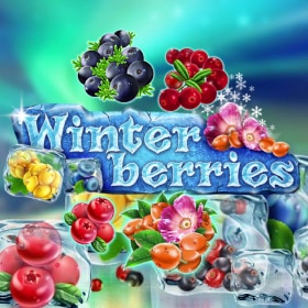 Winter Berries