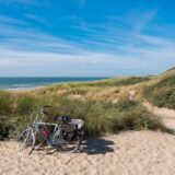 renesse