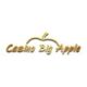 big apple casino logo