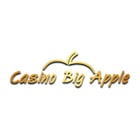 Casino Big Apple Duizelsteeg 22
