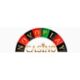 Novoplay casino logo
