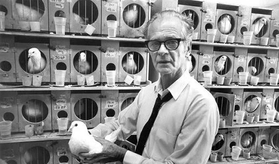 Skinner