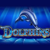 50 dolphins logo