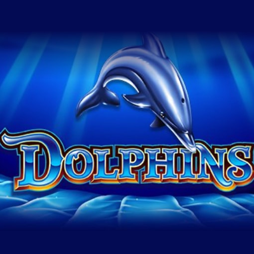 50 Dolphins