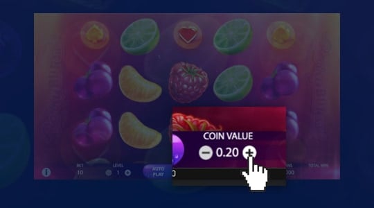De inzet per spin instellen
