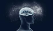 Dopamine en serotonine werken samen bij gokken