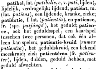 patience-geduldkruid