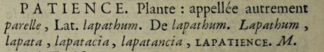 Patience en Lapathum