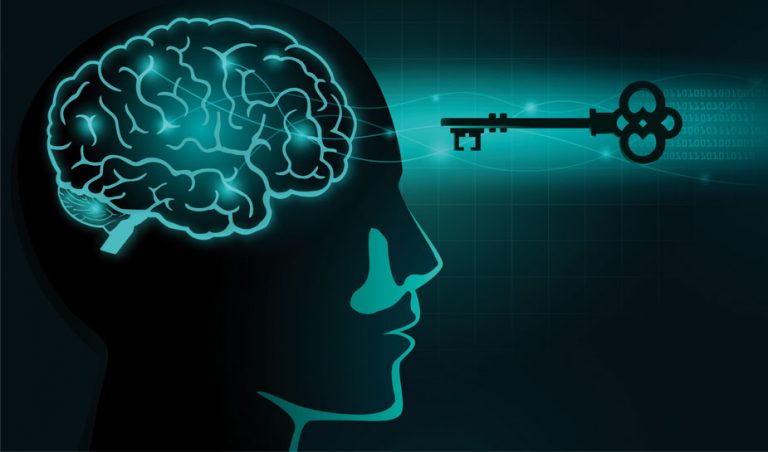 Hersenen en neuroplasticiteit