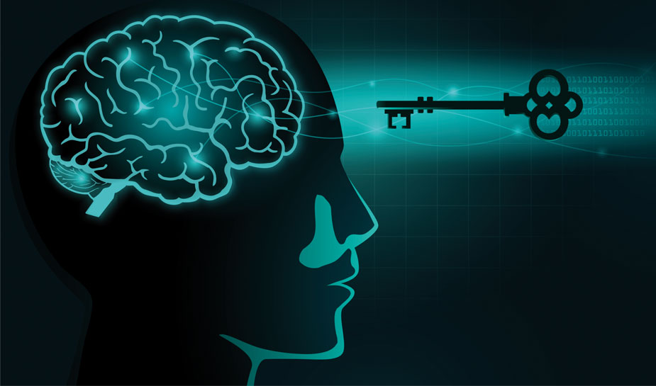 Hersenen en neuroplasticiteit