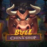 Bull in a China Shop logo