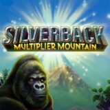 Silverback Multiplier Mountain logo
