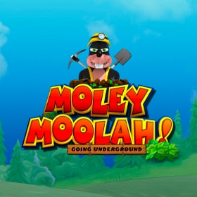 Moley Moolah
