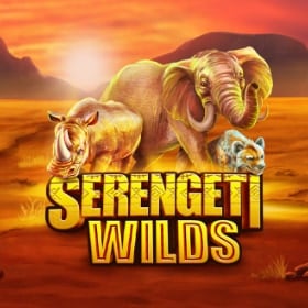 Serengeti Wilds
