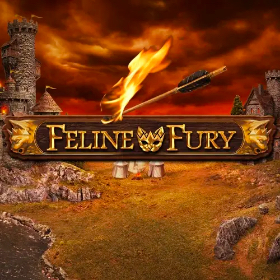 Feline Fury