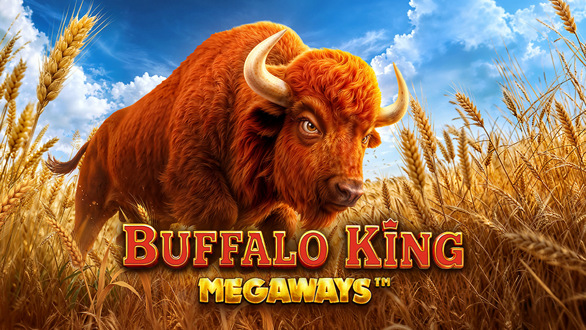 Buffalo King Megaways afbeelding desktop