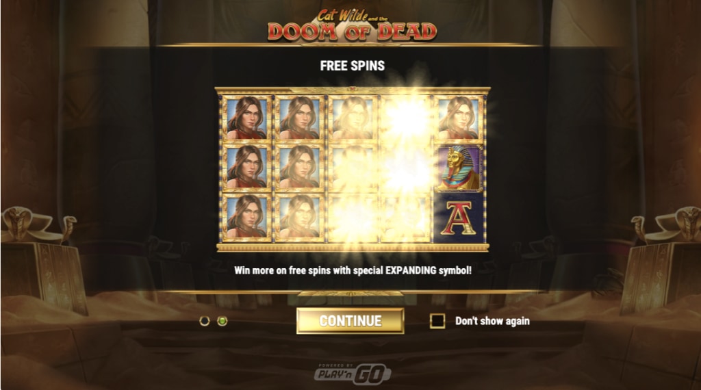 Spelregels cat wild and the lost slot