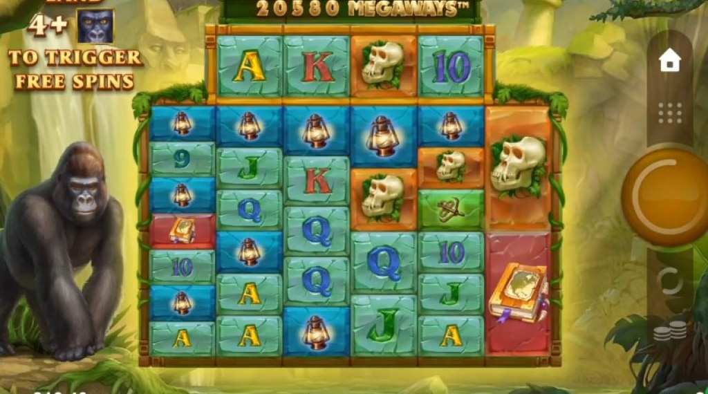 Symbolen in Forgotten Island Megaways