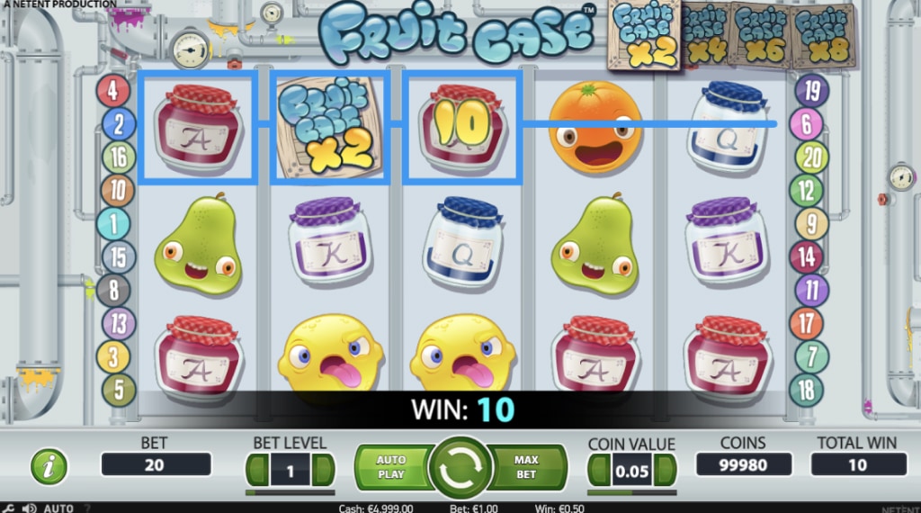 Verdienen met Fruit Case