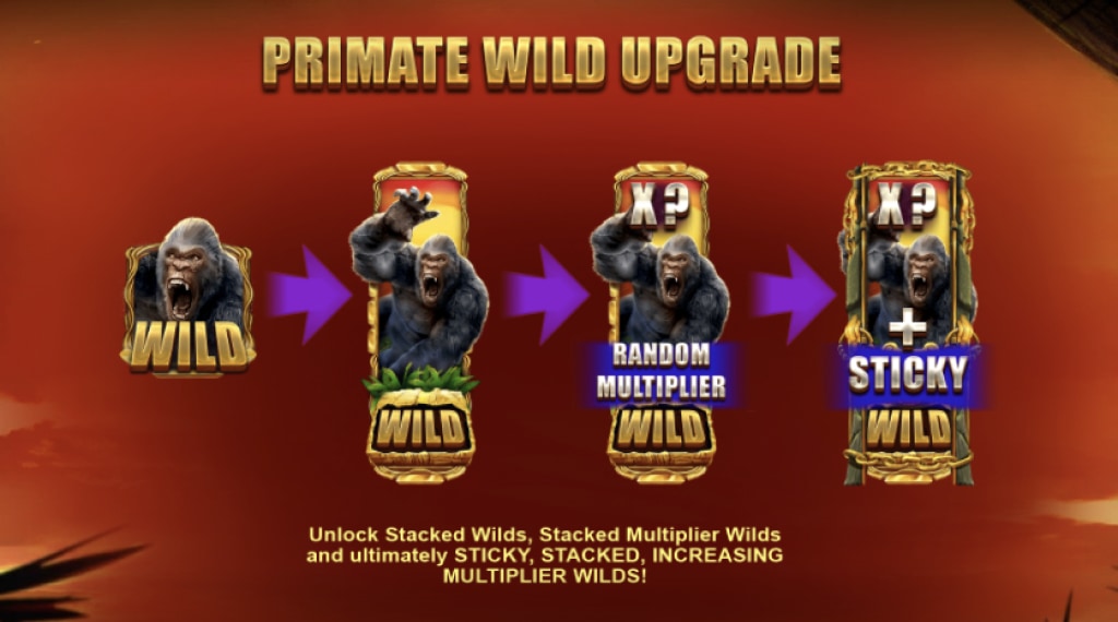 Bonusgames van Primate King