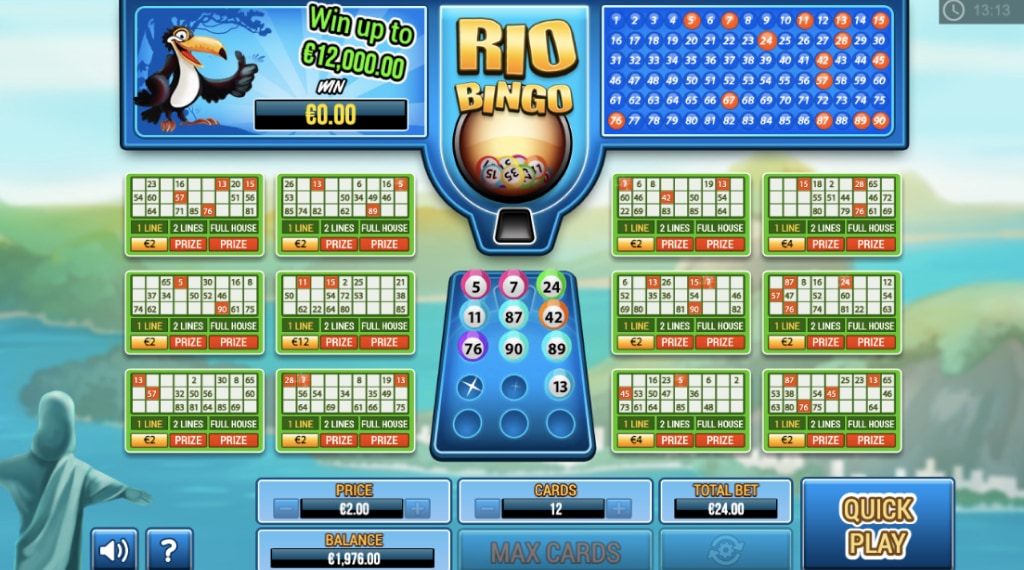Inzetmogelijkheden van Rio Bingo