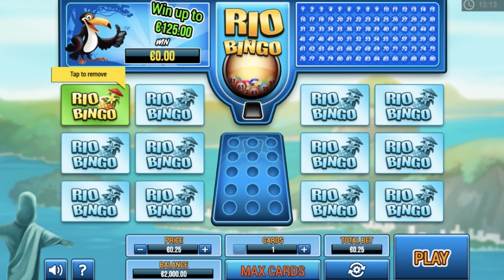 Spelregels van Rio Bingo