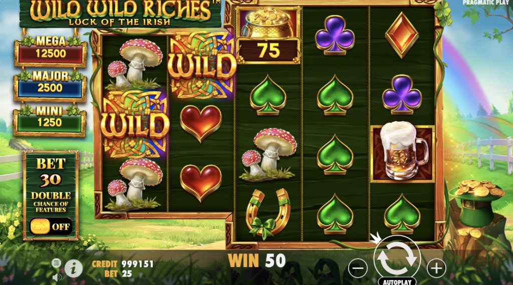 Bonus van Wild Wild Riches