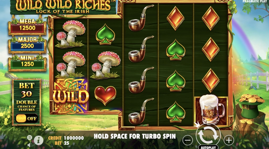 Spelregels van Wild Wild Riches