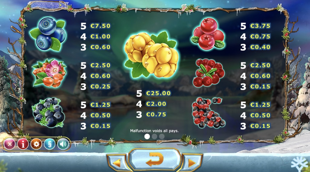 Fruitsymbolen in Winter Berries