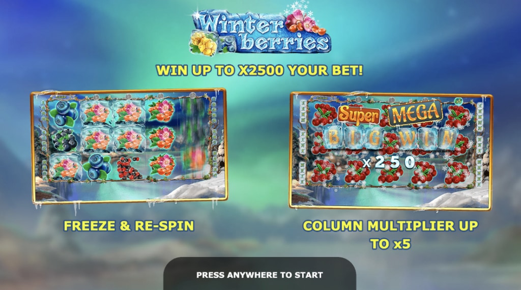 Spelregels van Winter Berries