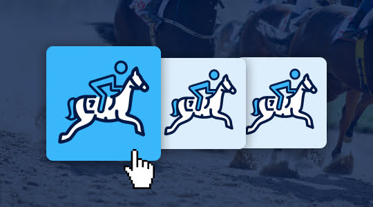 Op een paard inzetten