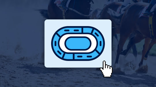 Een paardenrace kiezen 
