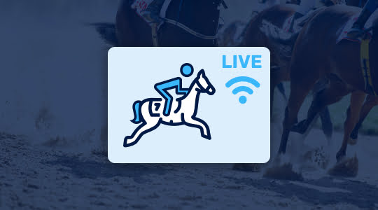 Paardenrace live bekijken
