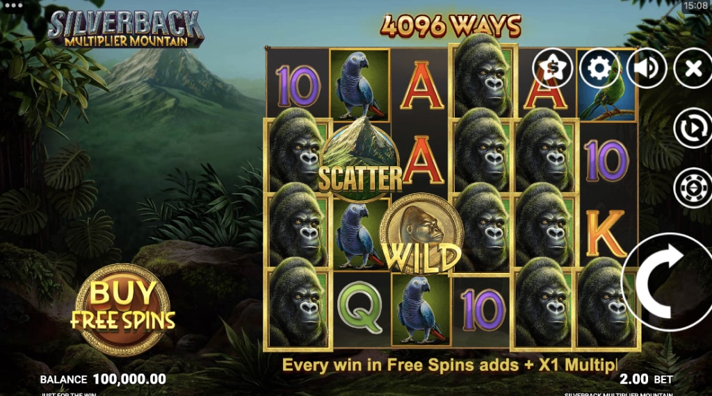Spelregels van Silverback Multiplier Mountain