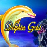 dolphin gold logo