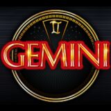 Gemini Twin logo