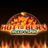 Hold to Burn Hold and Spin logo