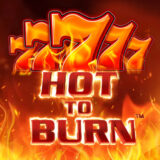 Hot to Burn logo