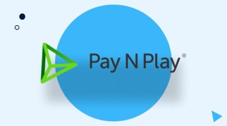 Pay n Play logo