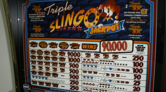 Slingo casino
