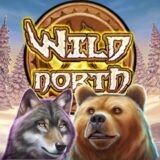 Wild North logo