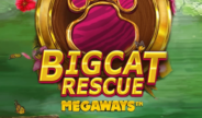 Red Tiger laat zich wederom inspireren door ‘Tiger King’