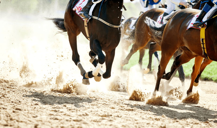 paardenrace
