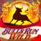 Bulls Run Wild logo