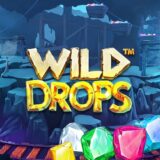 Wild Drops logo