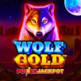 Wolf Gold Power Jackpot Logo