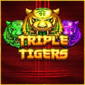 Triple Tigers
