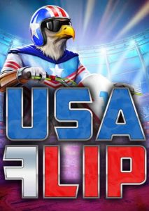 USA Flip logo